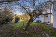 SE Immobilien Rarit�t! Sch�nes Grundst�ck in Pasing in ruhiger Lage