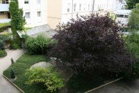 Bild (df83112fd488e1a711ff6e343984fb1e): Wundersch�n & Zentral gelegenes Apartment in Sendling